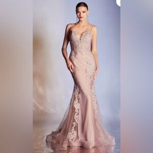 Cinderella Divine dress. Dusty rose. Only worn once!
